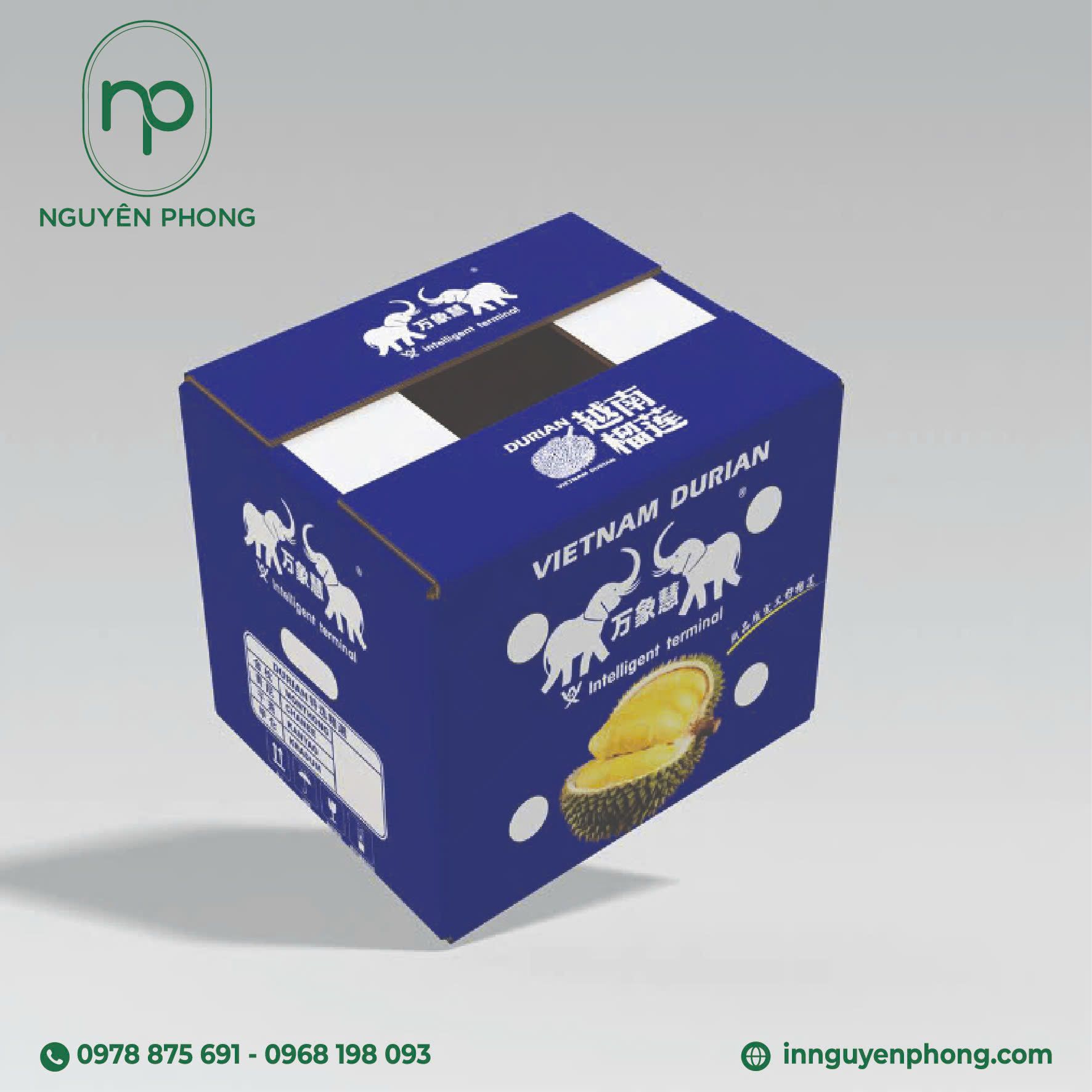 Hộp đựng sầu riêng tươi